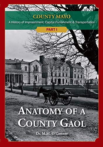 anatomy-of-a-county-gaol
