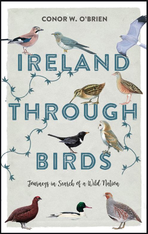 Ireland-through-birds