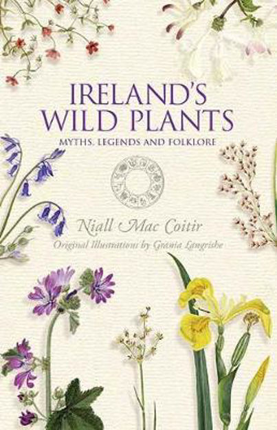 Irelands-wild-plants