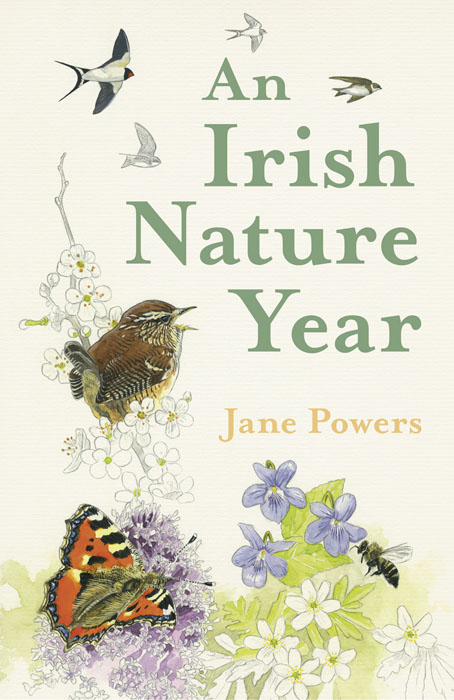 an-irish-nature-year