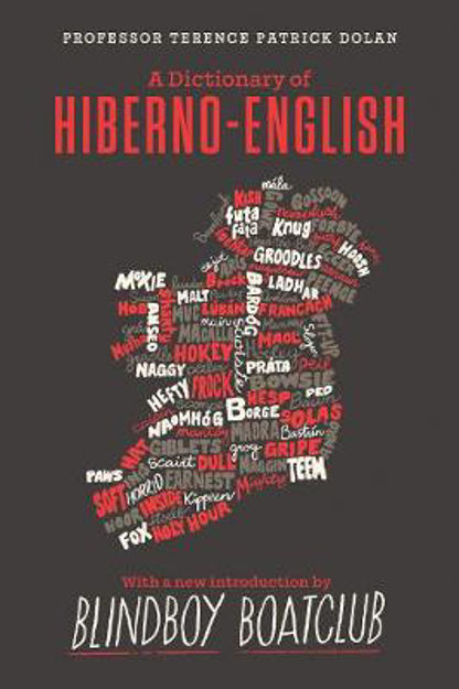 dictionary-of-hiberno-english