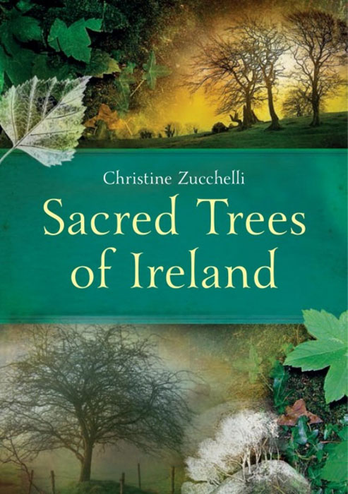 sacred-trees-of-ireland