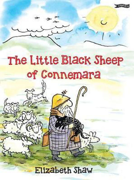 the-little-blck-sheep-of-connemara