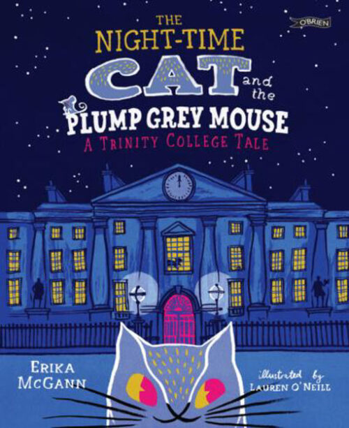 the-night-time-cat-and-the-plump-grey-mouse