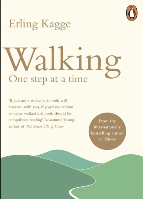walking-one-step-at-a-time
